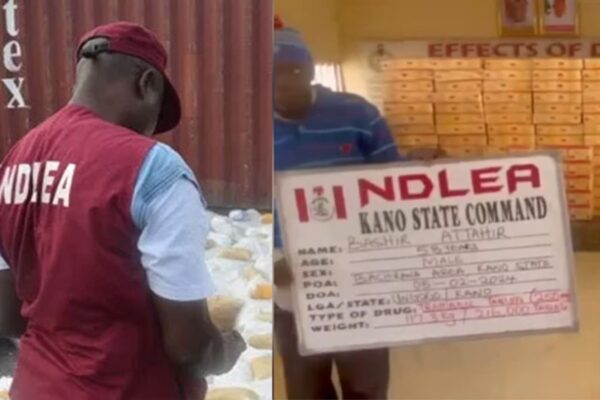 NDLEA Arrests Supplier of Drugs To Insurgents, Intercepts 7.6 Tons of Illegal Drugs
