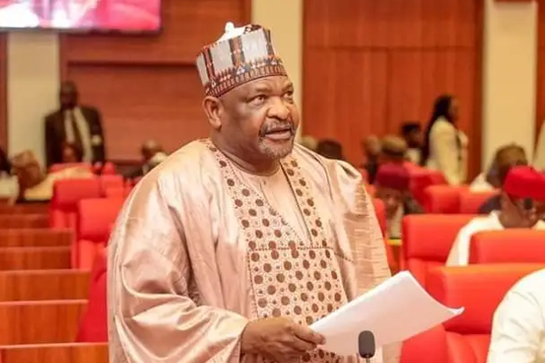 Senator Abdul Ningi, Three Months Suspension Over N3 Trillion Budget Padding