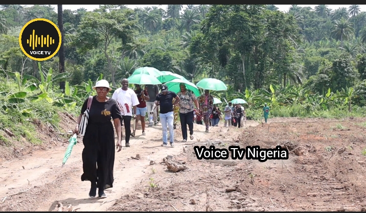 Pineapple cultivation has positive socioeconomic implications and creates jobs